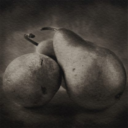 Foto en blanco y negro de peras