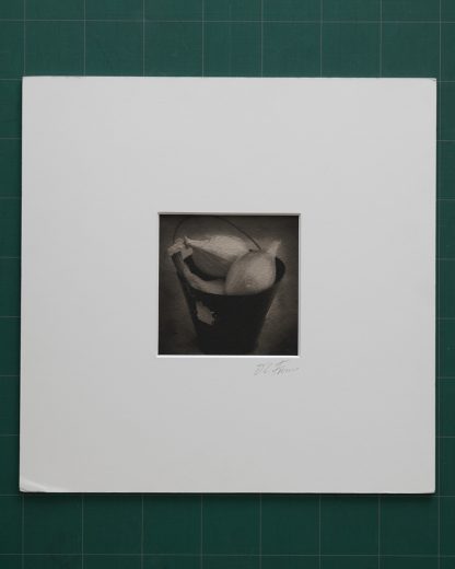Fotografía en blanco y negro montada en marialuisa de unos echalottes