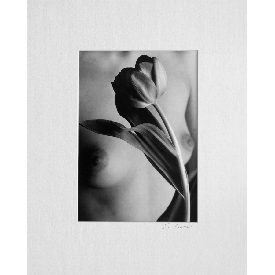 Desnudo de mujer y tulipán